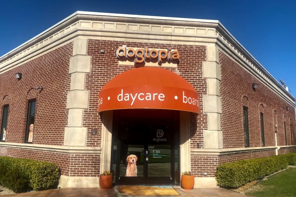 Dogtopia brings new grooming, boarding center to Richardson