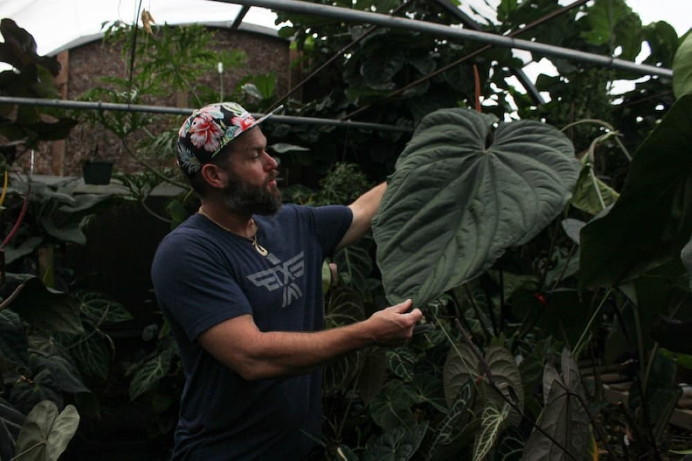 Wild Roots Nursery: A fun interest turns into a successful business