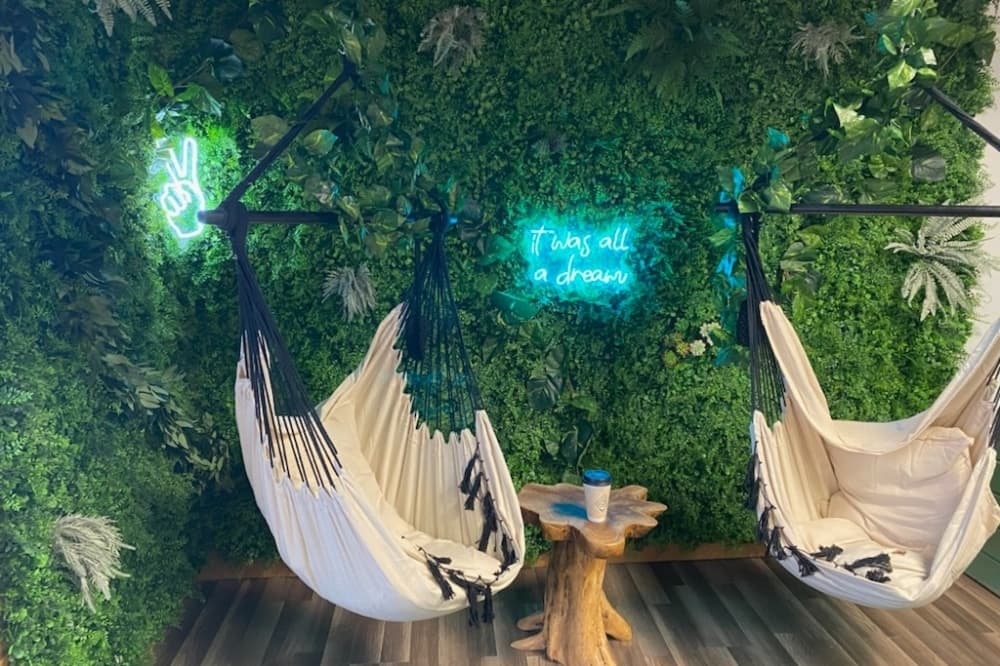 Interior of Leaf Cafe with hanging hammock chairs
