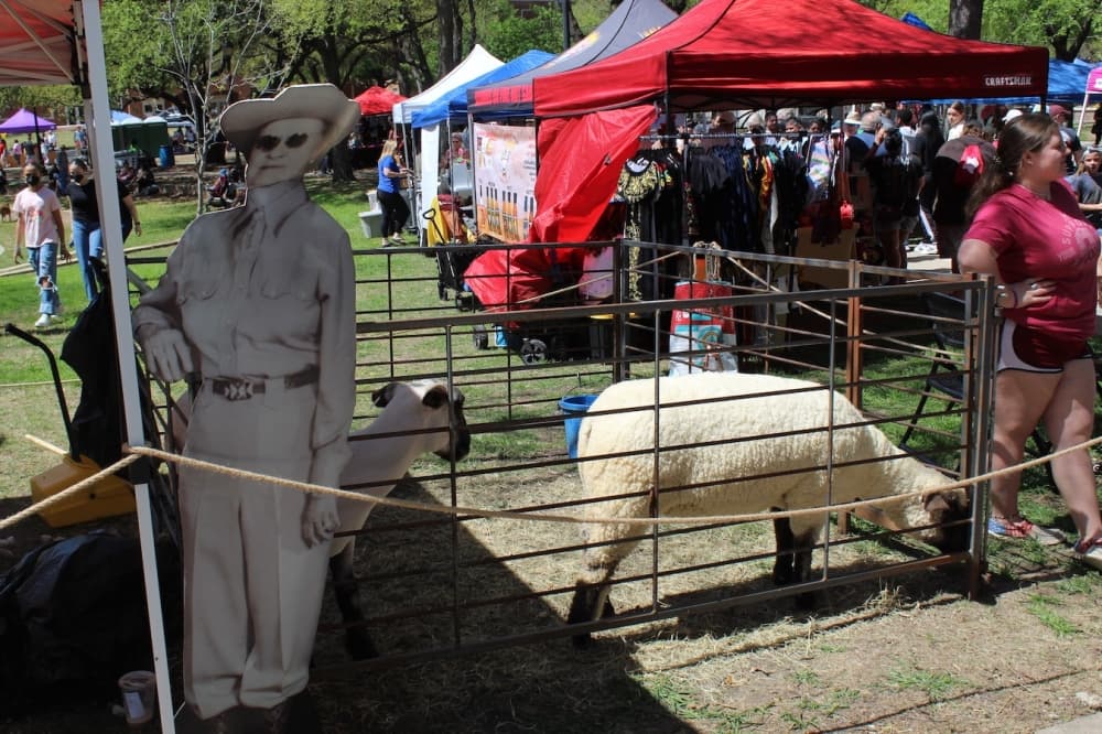 Sheep