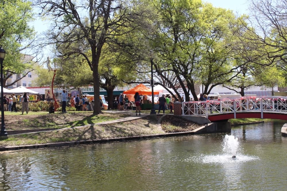 Texas Forever Fest returned to Haggard Park in Plano on March 25. (Michael Crouchley/Community Impact)