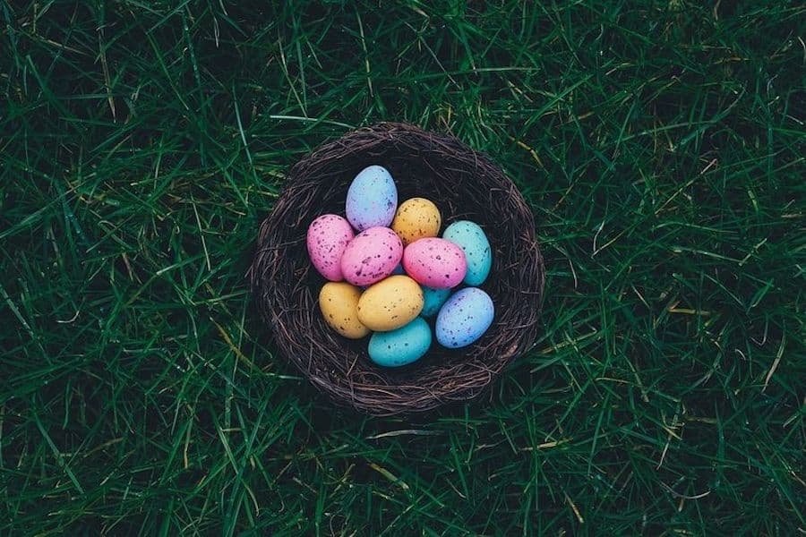 3 things to do this weekend in Round Rock, Pflugerville and Hutto