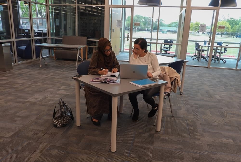 Two Plano residents working in the library