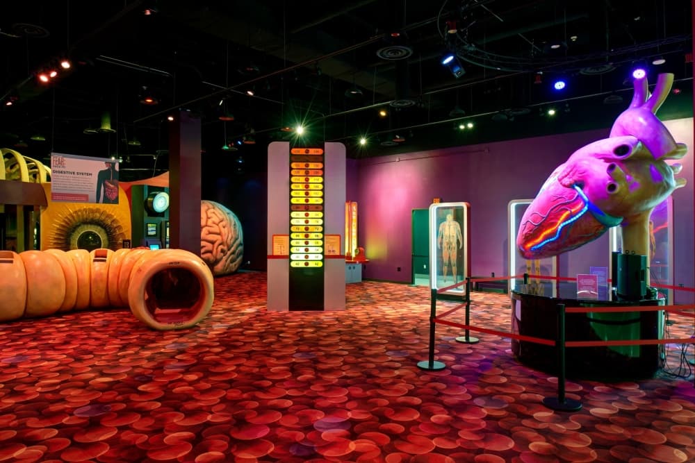 10 events to attend in the Greater Houston area this weekend, July 14-16