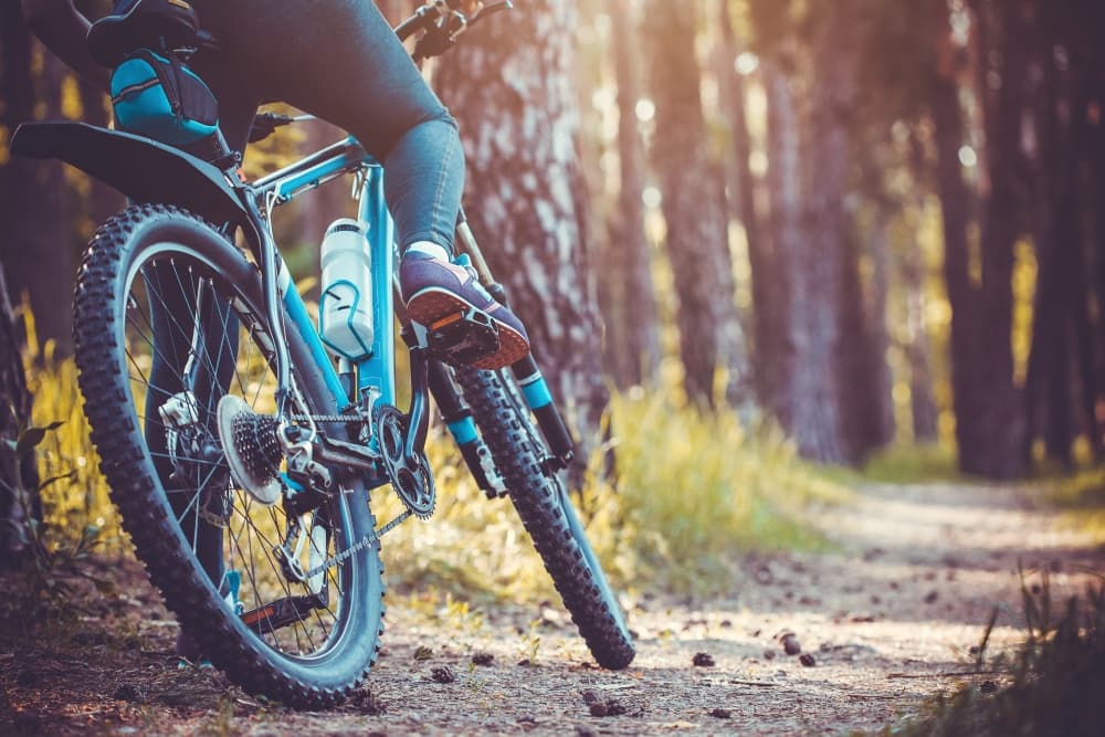 San Jacinto Bayou Greenway segment in Kingwood to offer 2.5 miles of hike-and-bike trails