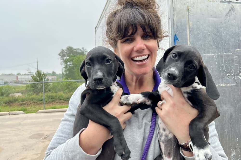 With 500-plus dogs, Montgomery County Animal Shelter waives adoption fees