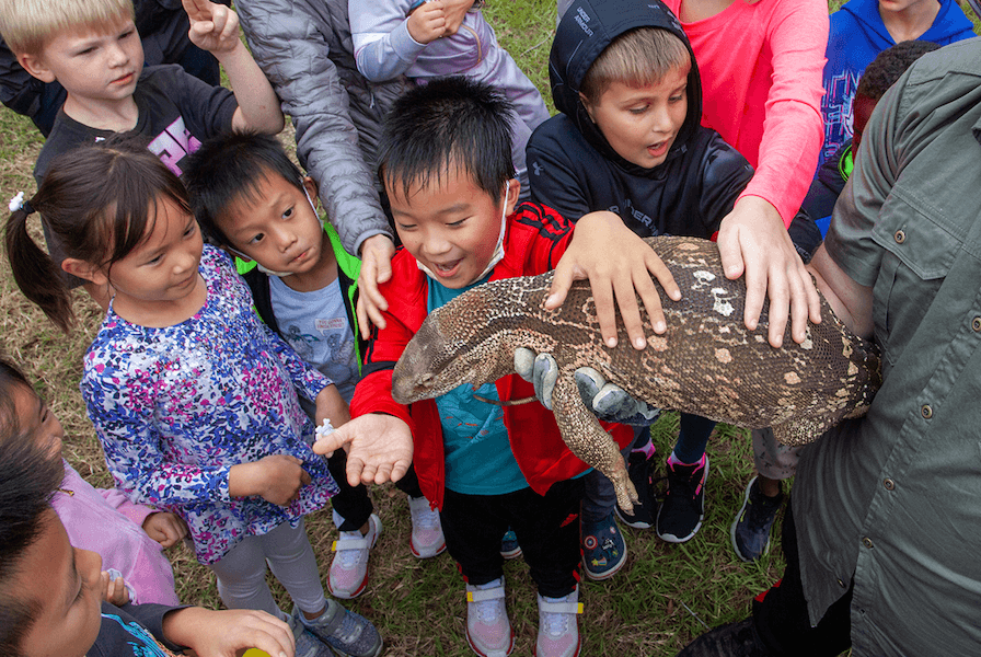 Bridgeland to host 15th annual Nature Fest