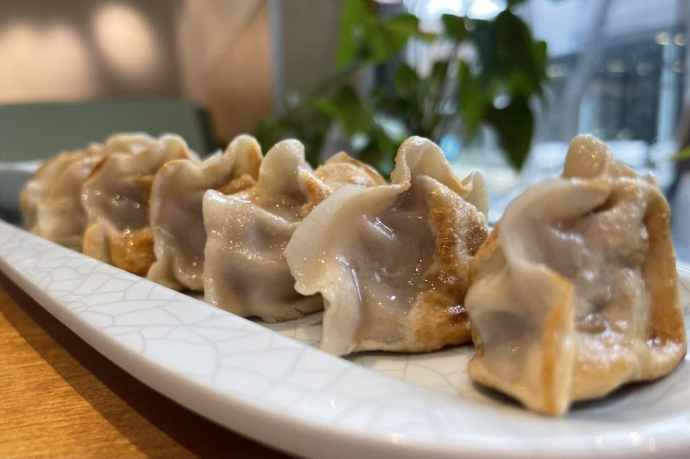 'Food has no borders' at northern Chinese restaurant Hello Dumpling