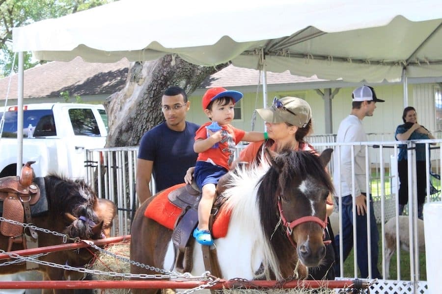 Here are 5 events to get to this weekend May 6-7 in Tomball, Magnolia