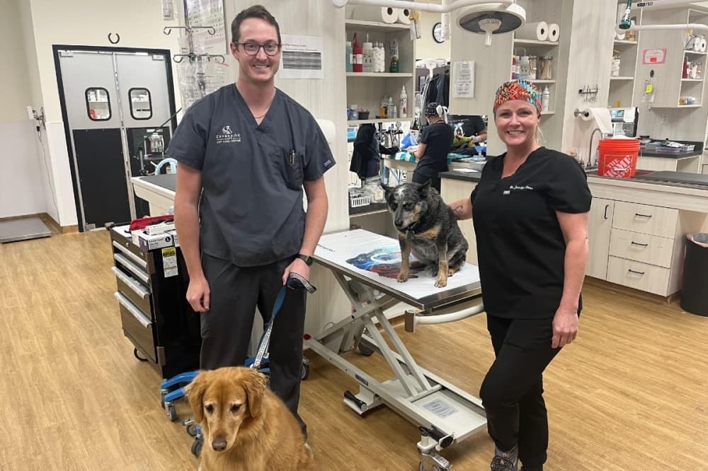 Creekside Pet Care Center celebrates grand opening in Keller