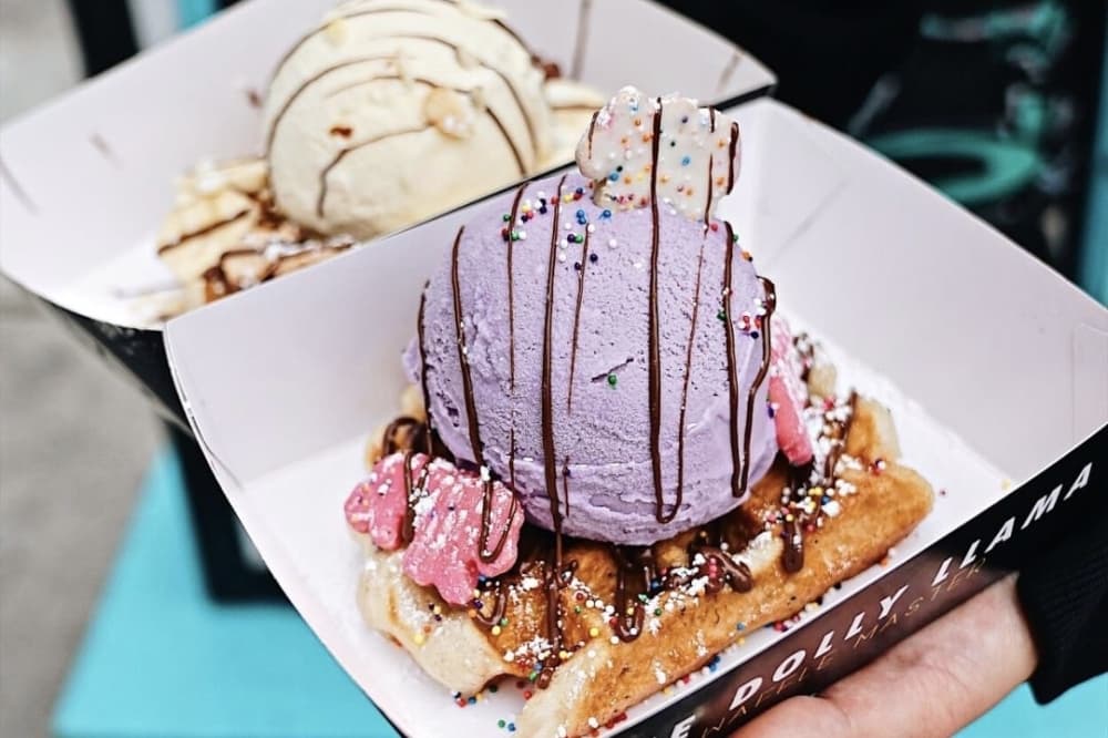 Dolly Llama ice cream shop to open first Pearland location; here's the inside scoop