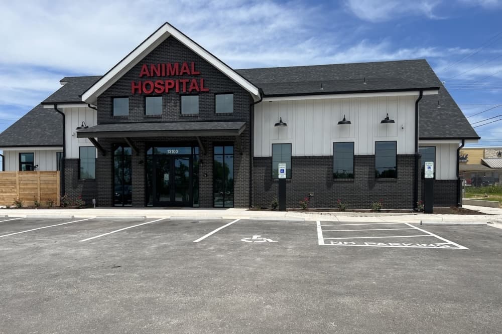 Liberty Hill Animal Hospital opens as city’s third veterinary practice