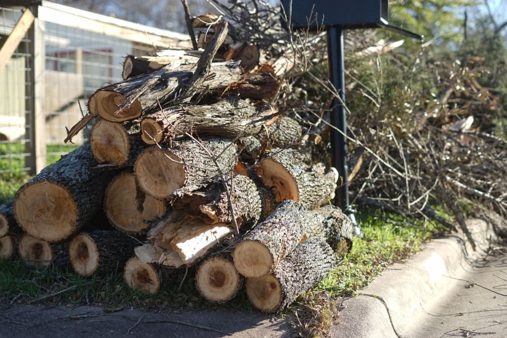 Austin crews pick up enough Winter Storm Mara debris to fill Q2 Stadium over 4 times