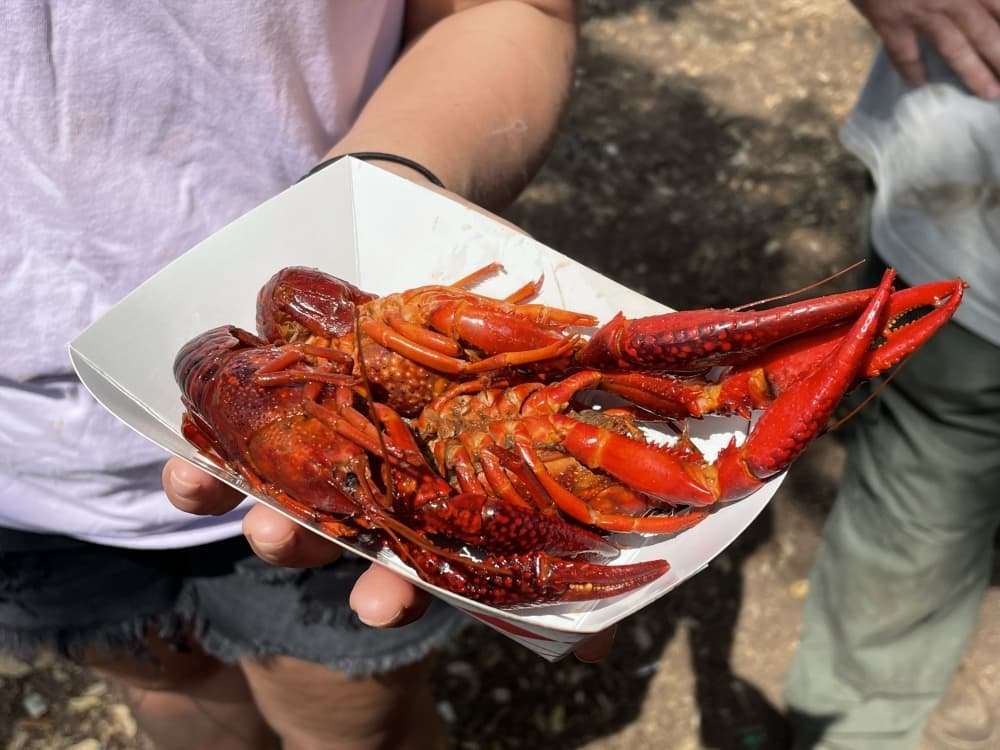 Pops Crawfish: Family-owned business brings crawfish boil to Austin’s backyard