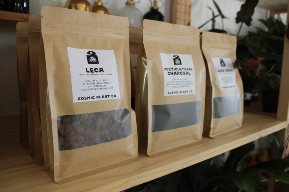 Woman-owned plant shop, greenhouse opens in Gruene