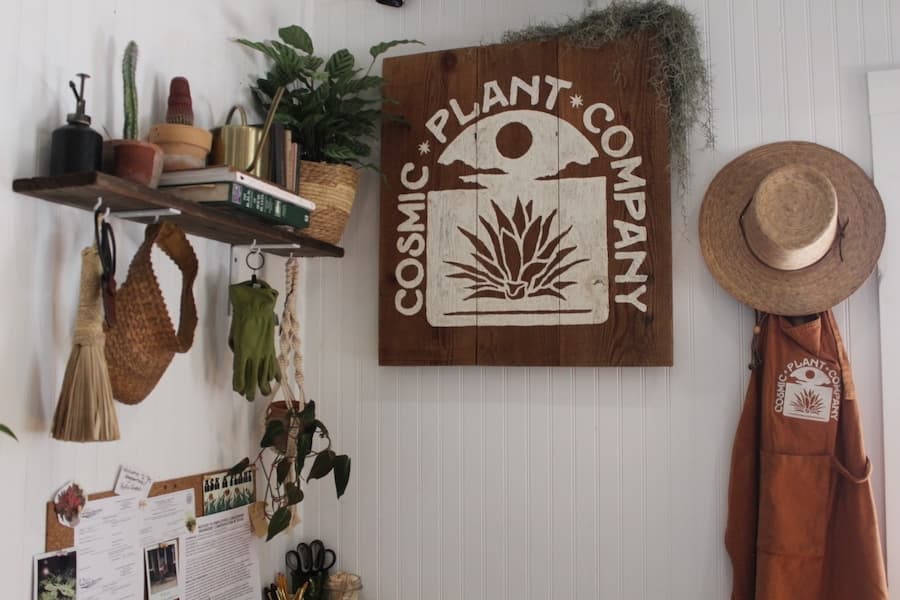 Cosmic Plant Company is located in the heart of Gruene at 1640 Hunter Road. (Amira Van Leeuwen/Community Impact)