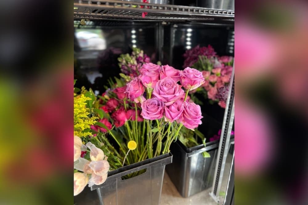 Popular flowers at Fletcher's includes peonies, dahlias, hydrangeas, and pink or purple roses. (Zacharia Washington/Community Impact)