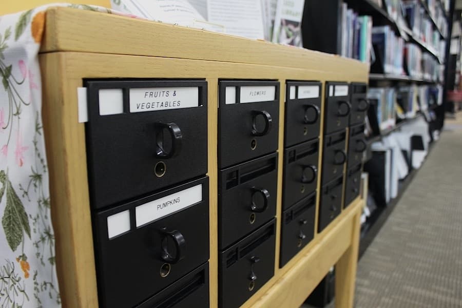 Seed Library introduced at Kyle Public Library