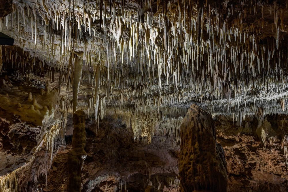 Natural Bridge Caverns expands with a new tour, public passageways