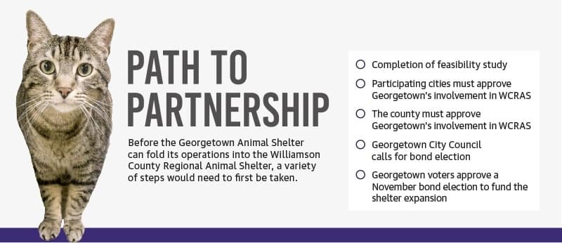 Sources: city of Georgetown, Williamson County/Community Impact (Graphic by Community Impact staff)