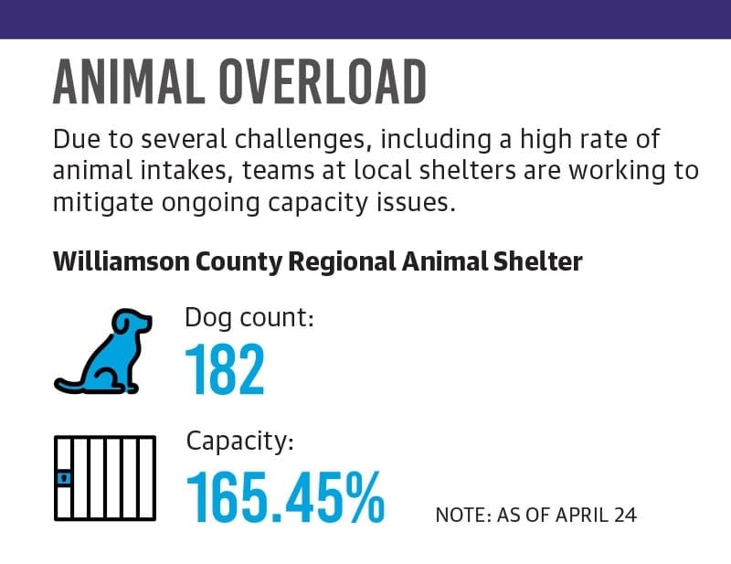 Source: Williamson County Regional Animal Shelter/Community Impact (Graphic by Community Impact staff)