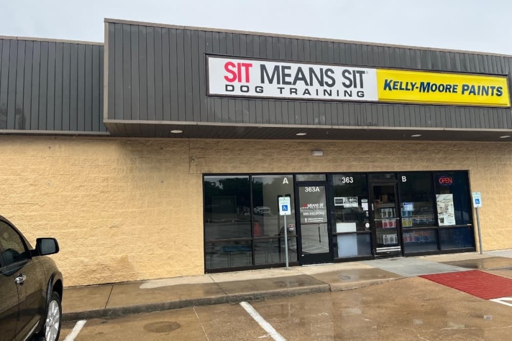 Train your dog to sit, stay and more at new Keller business