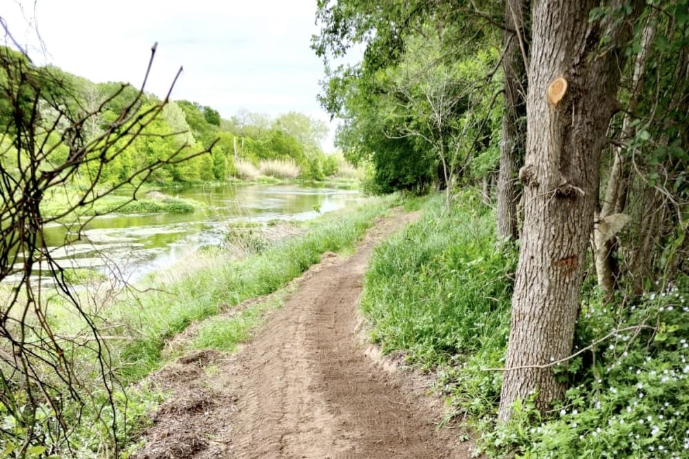A view of a Georgetown Trails Foundation natural surface trail beside the San Gabriel River. 