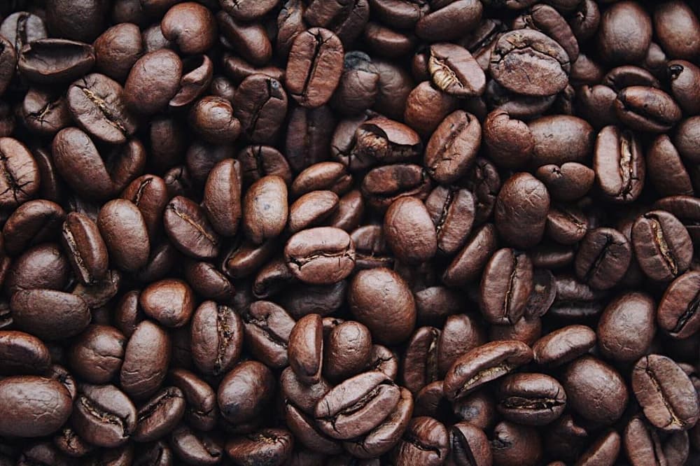 Blackline Coffee & Donuts now serving artisan coffee in Webster