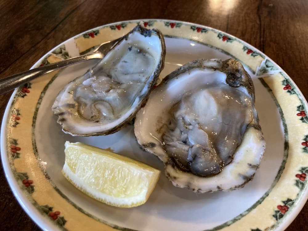 two oysters on a plate with lemon