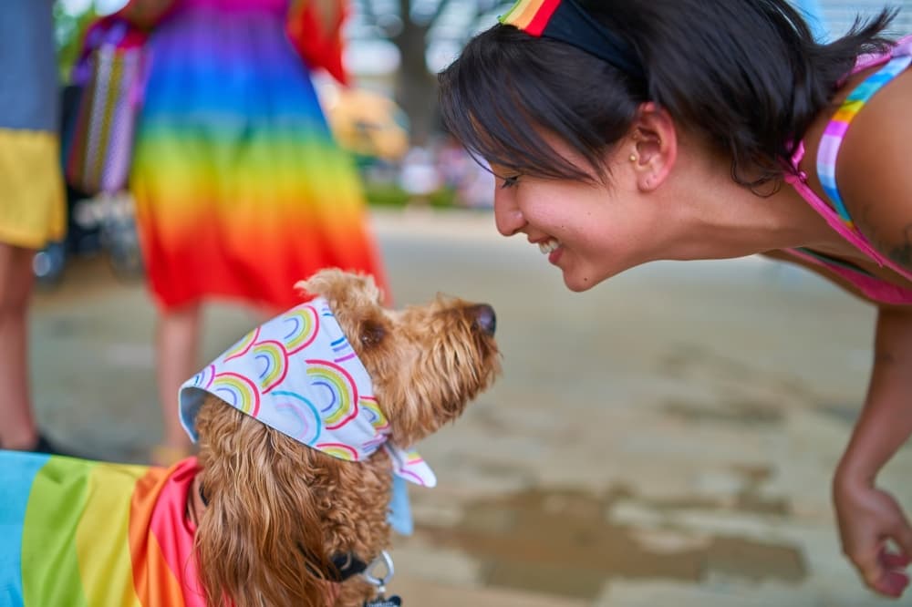 4 Houston events to attend in celebration of Pride Month this June
