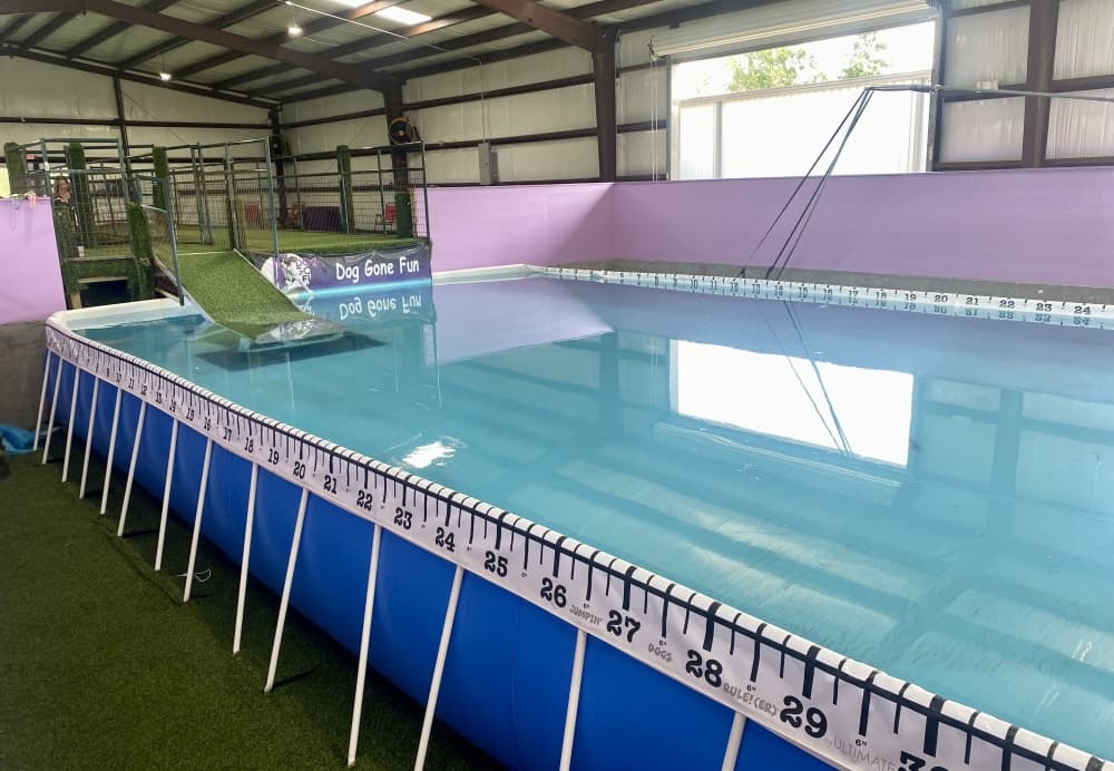 Dog Gone Fun Agility features a 1,000 square-foot indoor pool for dock diving classes. (Cassandra Jenkins/Community Impact)