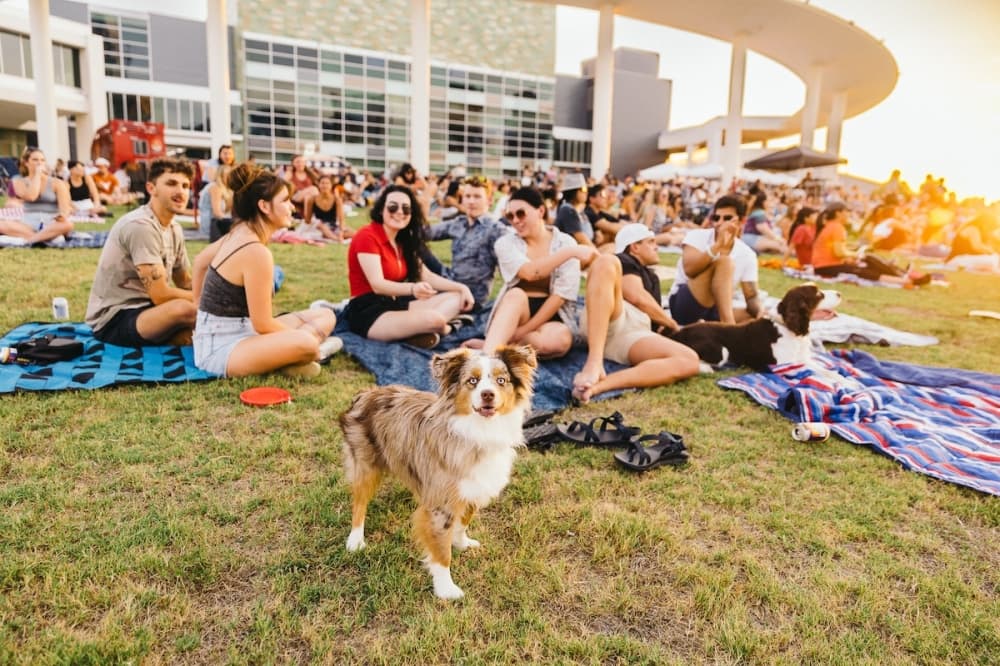 11 things to do in Southwest Austin and Dripping Springs for July