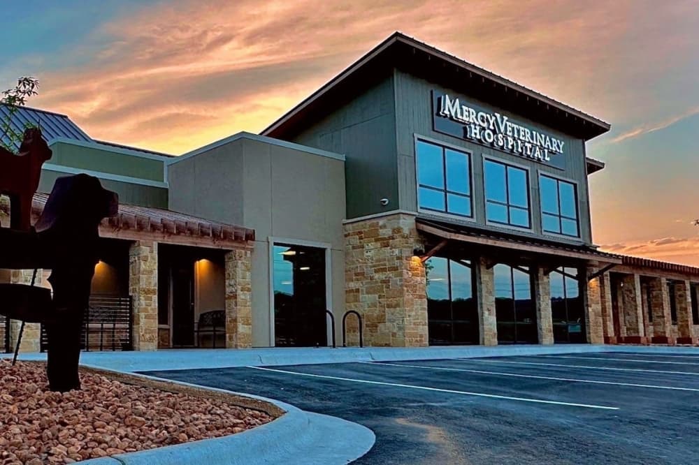 Mercy Veterinary Hospital brings medical care, boarding services to Leander