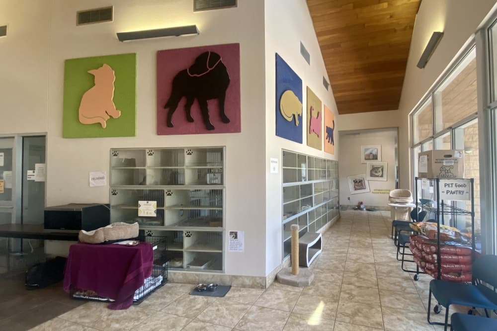 Williamson County Regional Animal Shelter receives grant, extra services