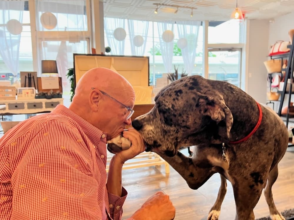 owner with dog
