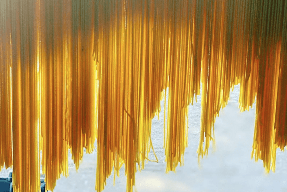 A line of pasta noodles dry outside
