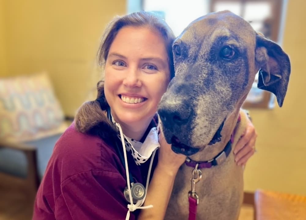 New vet clinic to service dogs, cat in Hutto
