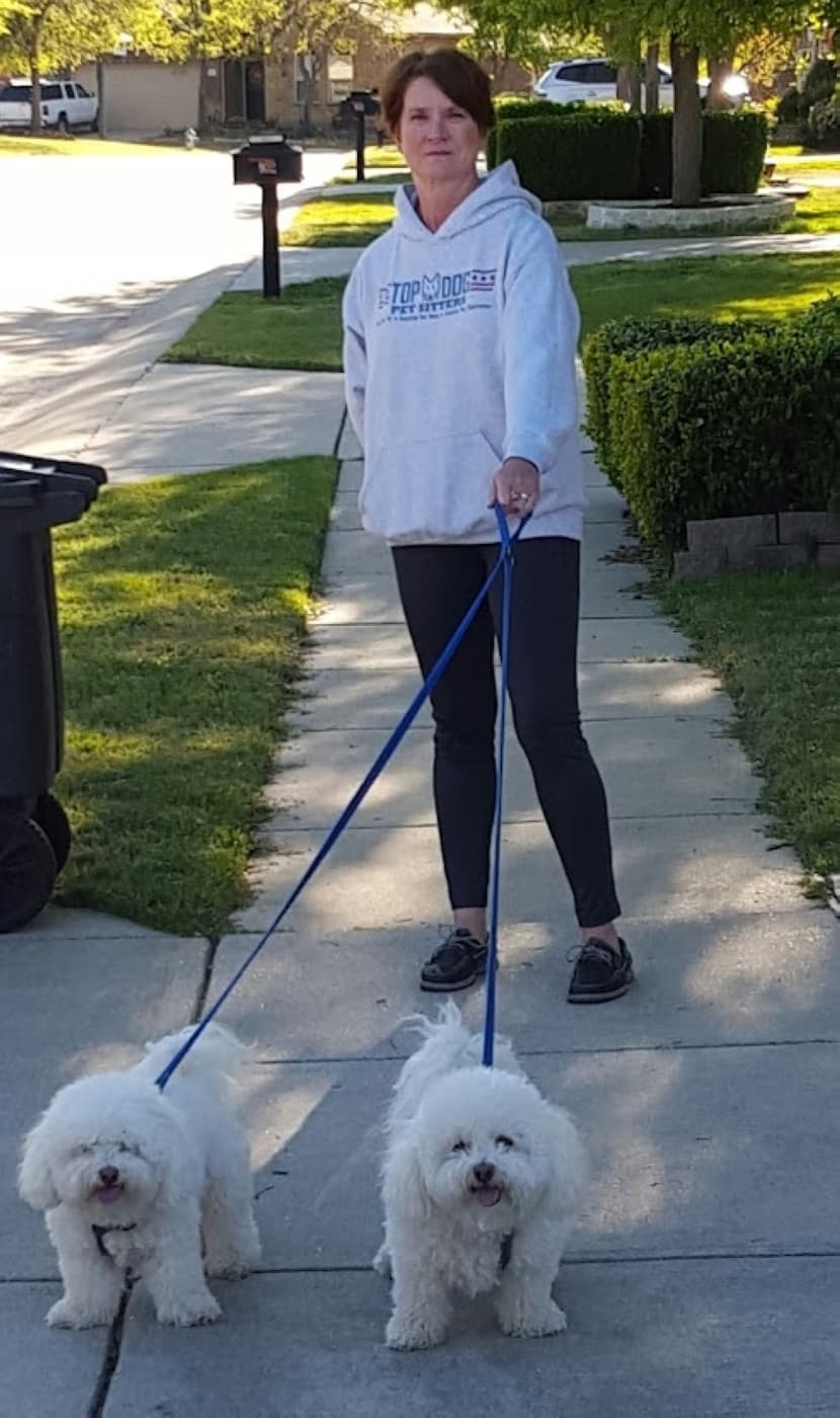 dog walk 