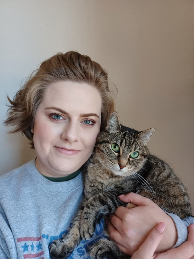 cat photo