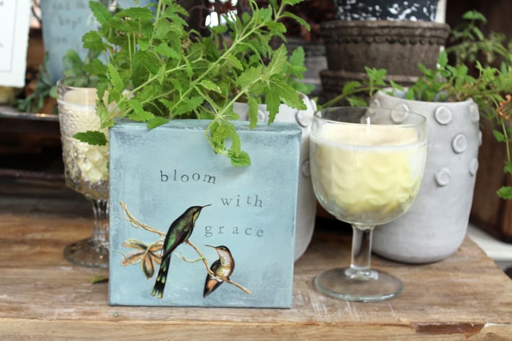 bloom sign
