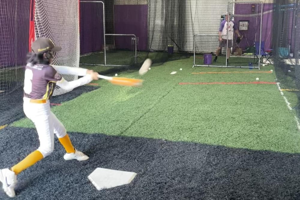 Blueberry Batting Cages now offering baseball, softball lessons in north Houston