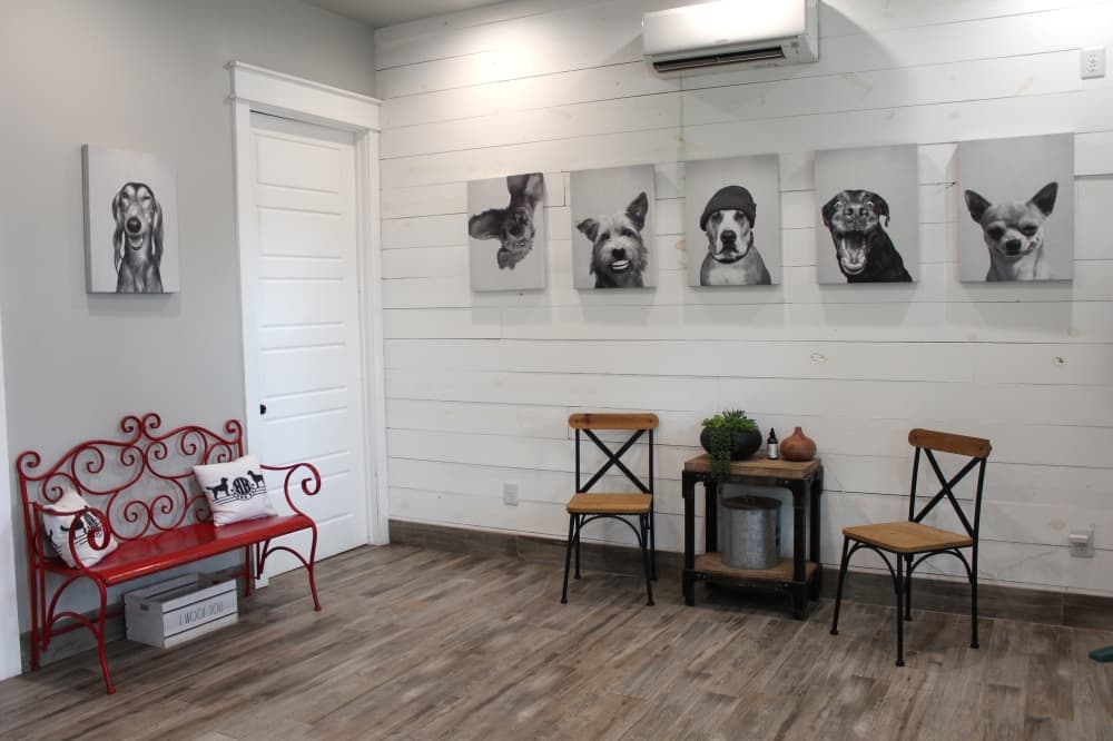 The inside of Hound Haus is decorated with portraits of dogs. (Amira Van Leeuwen/Community Impact)