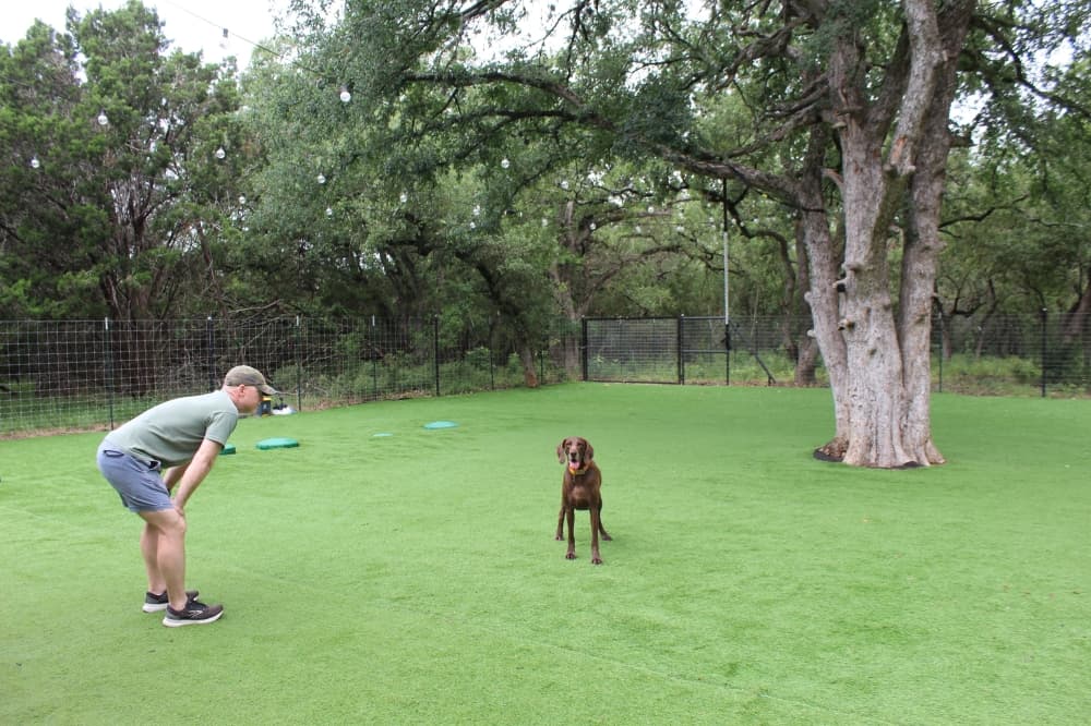 Locally-owned Hound Haus offers luxury dog boarding in New Braunfels