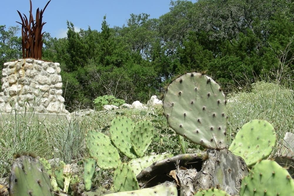 San Antonio plans Stone Oak Park upgrades