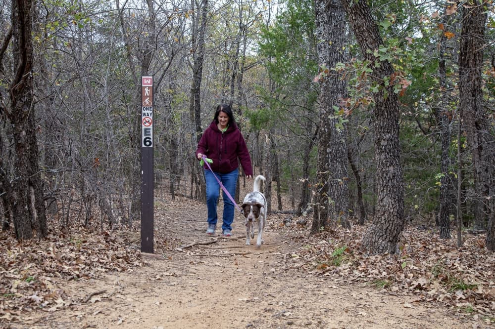 Picture of a woman and her dog walking through a wooded area in a park
