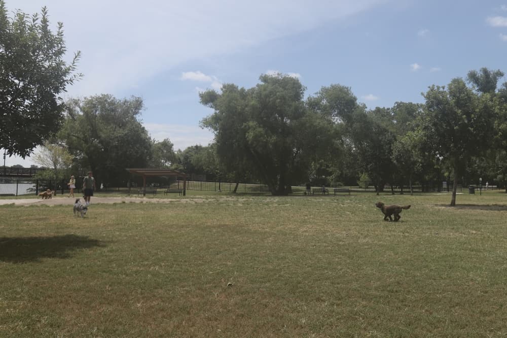 White Rock Lake Dog Park to close for $100K in renovations