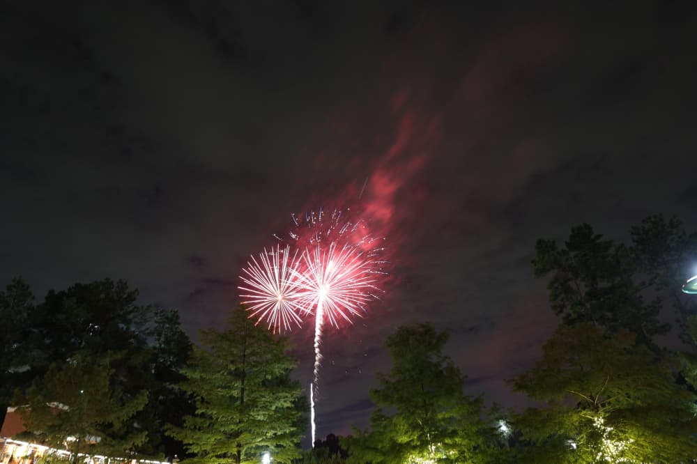 Fireworks light up the night sky.