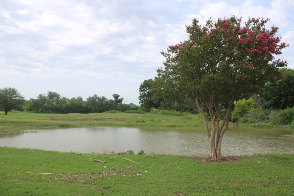 New trails coming to Los Rios Park in Plano