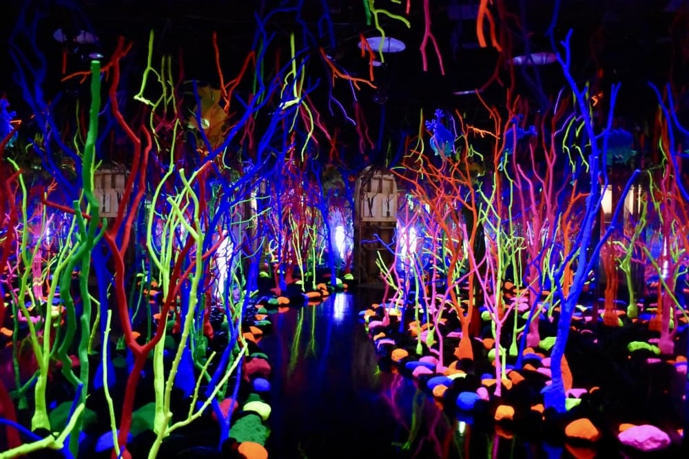 a dark room filled with neon trees and rocks