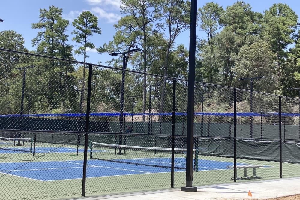 Play pickleball, pose like Barbie: 4 things to do in The Woodlands area July 20-23